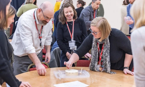 Primary Collaboration
